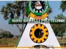The NUBA Poly Admission List for 2023–2024 has been Released [UPDATED]