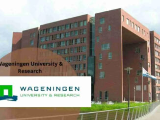 Wageningen University Africa Scholarship Programme 2025 (Fully Funded)