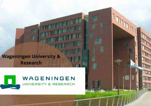 Wageningen University Africa Scholarship Programme 2025 (Fully Funded)