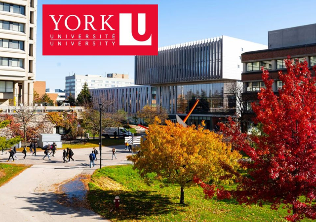 York University Scholarships for International Students 2025